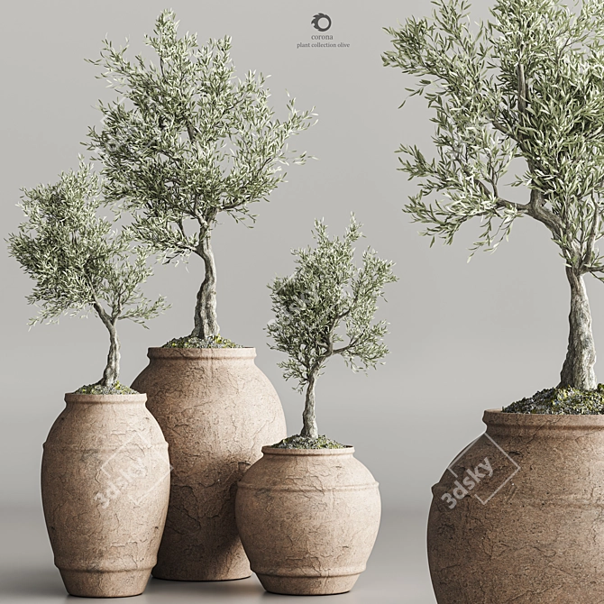 Modern Abstract Plant Collection Olive 3D model image 1