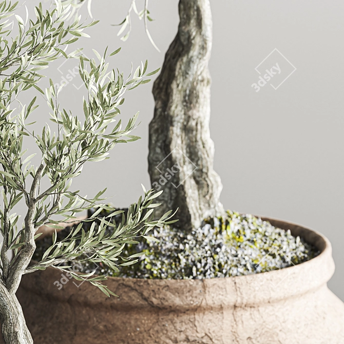 Modern Abstract Plant Collection Olive 3D model image 2