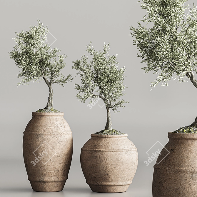 Modern Abstract Plant Collection Olive 3D model image 3