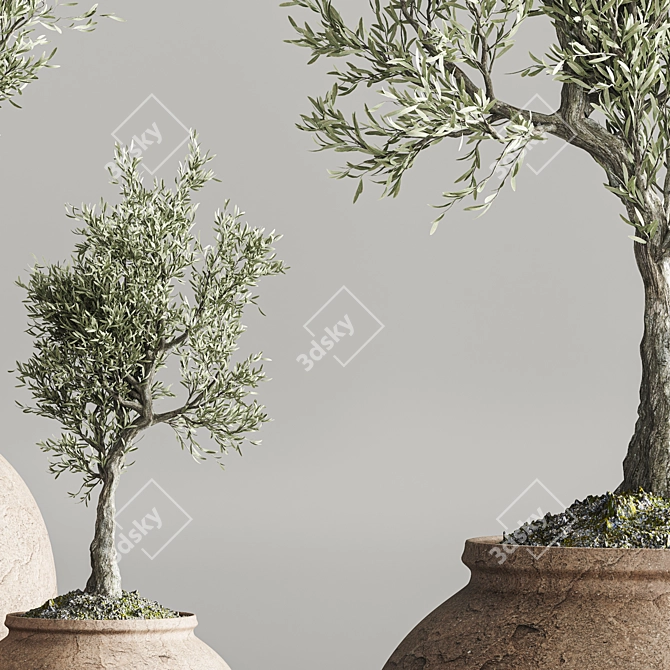 Modern Abstract Plant Collection Olive 3D model image 4