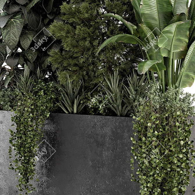 Concrete Pot Outdoor Plant Set 3D model image 3