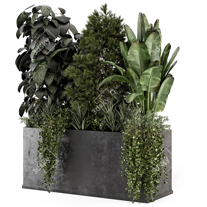 Concrete Pot Outdoor Plant Set 3D model image 5