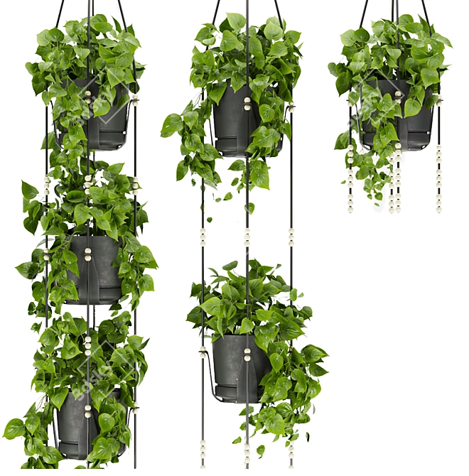 Premium Hanging Pothos Plant Model 3D model image 2