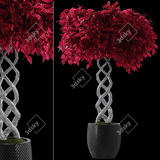 Modern Plant Collection 3 Kit 3D model image 2