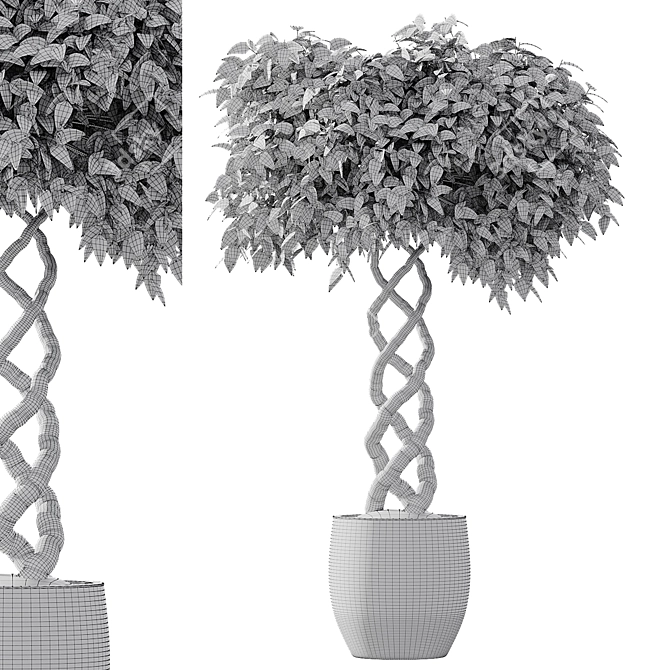 Modern Plant Collection 3 Kit 3D model image 3