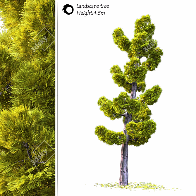 Model Land scape Tree 3D 3D model image 1