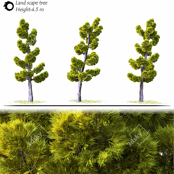 Model Land scape Tree 3D 3D model image 2