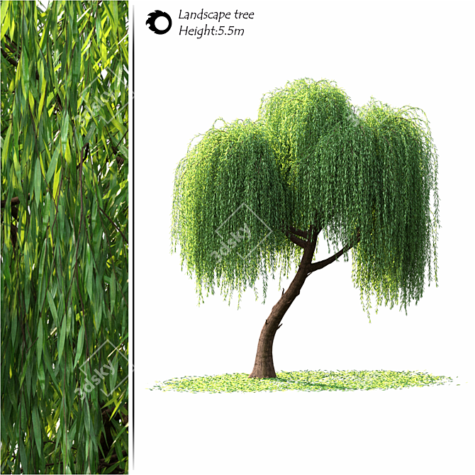 3D Landscape Tree Model - Corona Render 3D model image 1