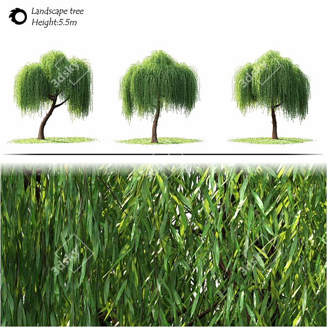 3D Landscape Tree Model - Corona Render 3D model image 2