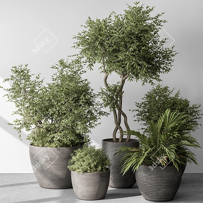  Outdoor Plant Set 393 3D model image 2