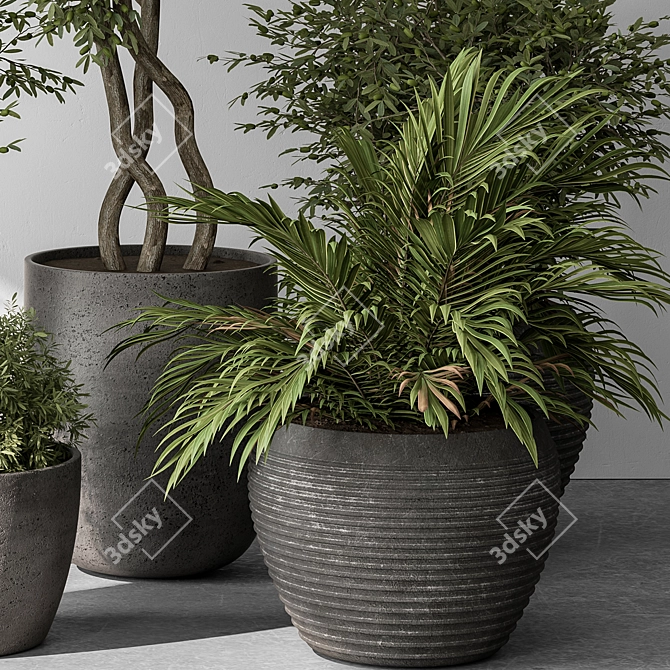  Outdoor Plant Set 393 3D model image 5