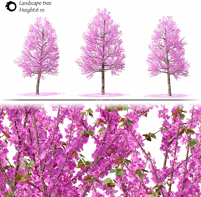 Corona Landscape Tree Model in 3Ds Max 3D model image 2