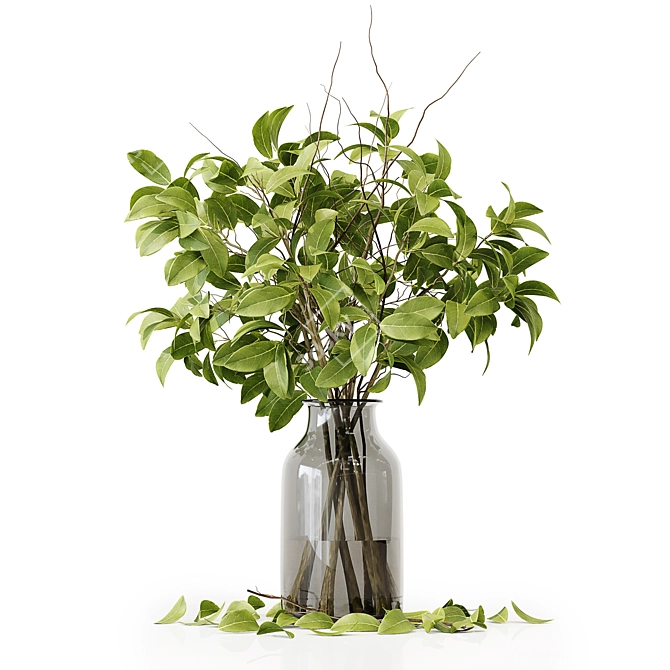 Premium Indoor Plant 3D Model 3D model image 4