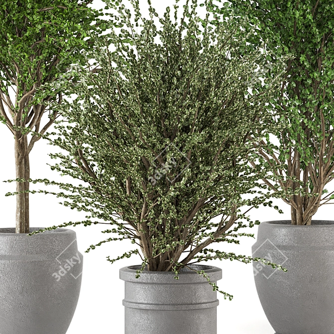 Creative Indoor Plants Collection 3D 3D model image 2