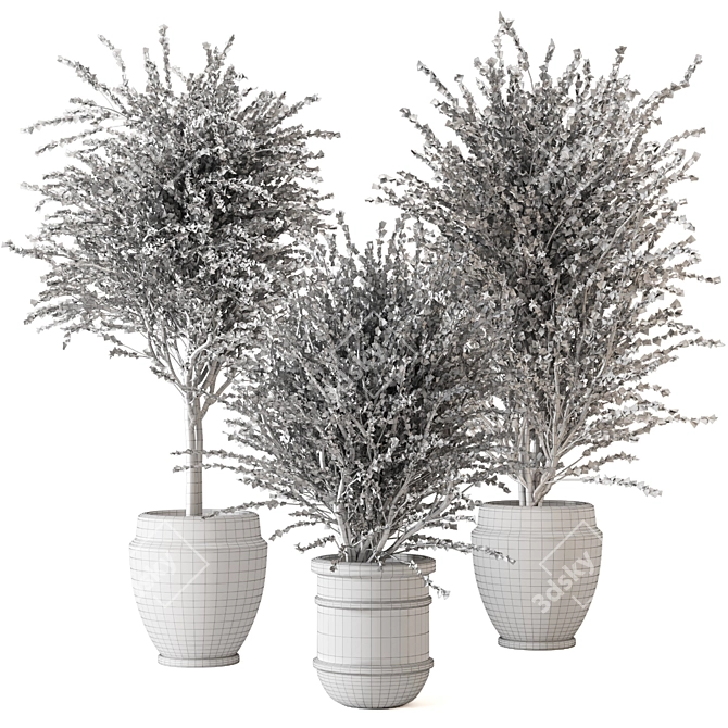 Creative Indoor Plants Collection 3D 3D model image 5