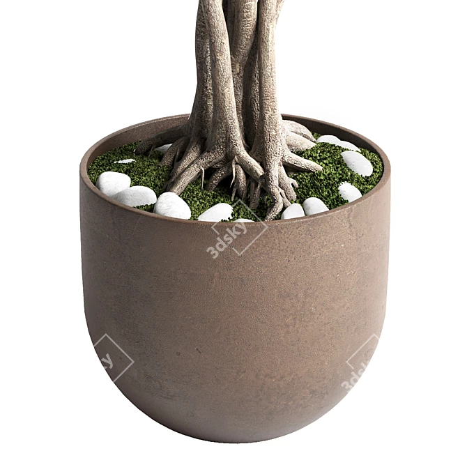 Bonsai Tree Concrete Planter Outdoor 3D model image 4