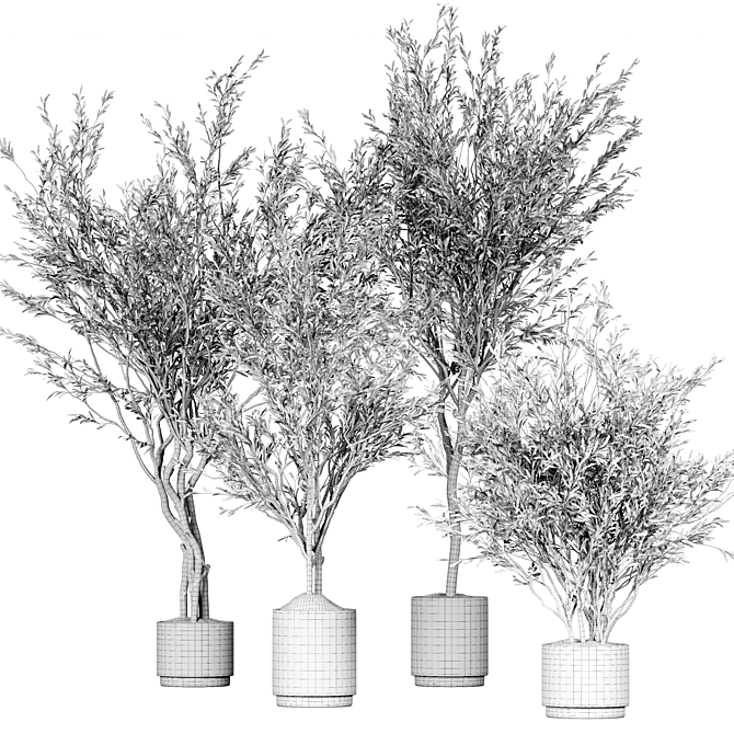 Indoor Plant Collection V1 (2015) 3D model image 5