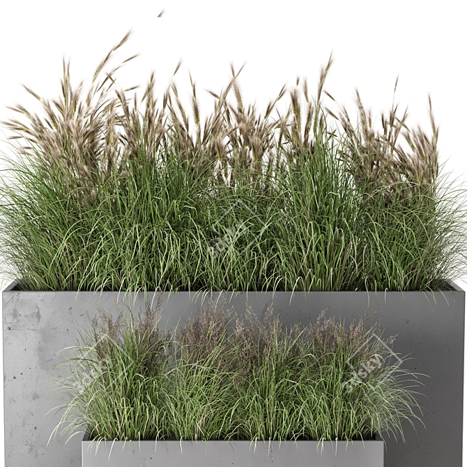 Rusty Concrete Pot Outdoor Plants 3D model image 3