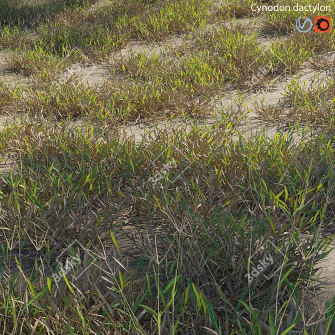 Vibrant 3D Grass Model Bundle 3D model image 2