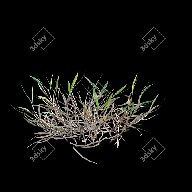 Vibrant 3D Grass Model Bundle 3D model image 5