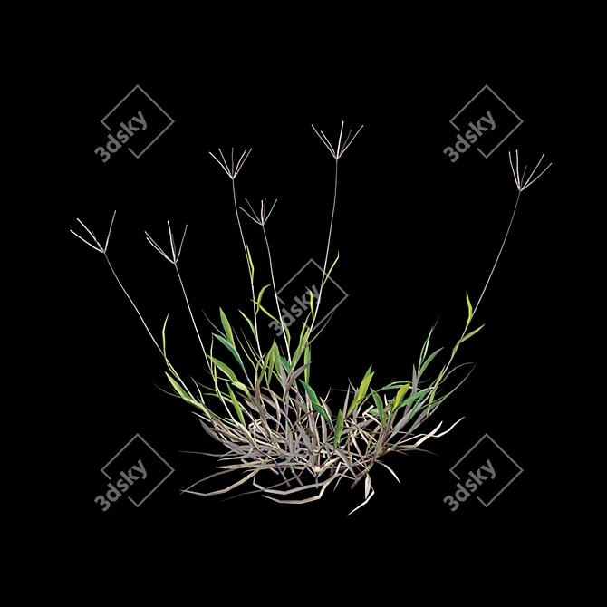 Vibrant 3D Grass Model Bundle 3D model image 6