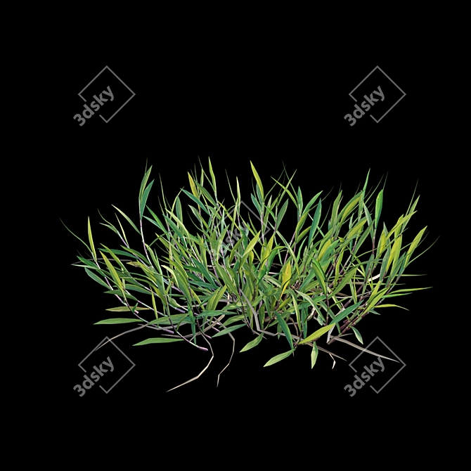 Vibrant 3D Grass Model Bundle 3D model image 7