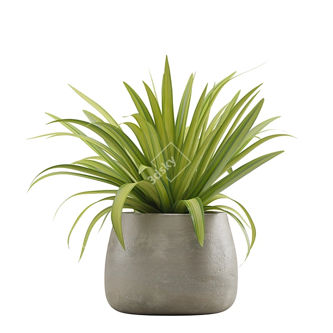 Exotic Indoor Plant Pack Collection 3D model image 5