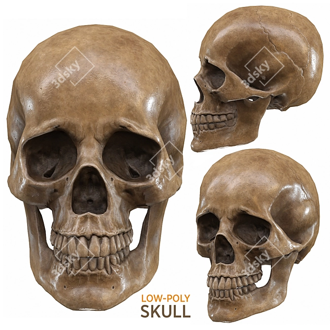 Low-Poly Skull 3D Model 3D model image 1