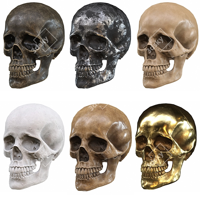 Low-Poly Skull 3D Model 3D model image 2