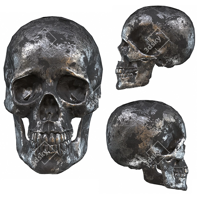 Low-Poly Skull 3D Model 3D model image 5