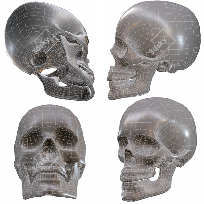 Low-Poly Skull 3D Model 3D model image 7