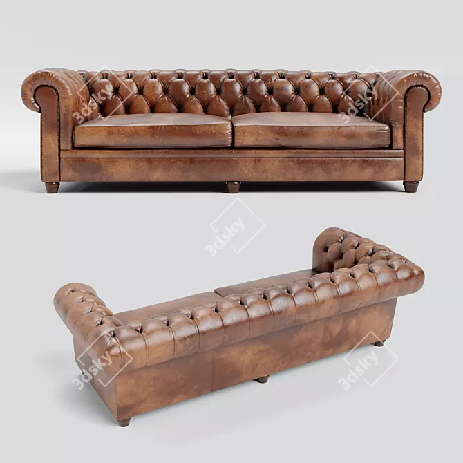 Classic Premium Leather Sofa Div-707 3D model image 1