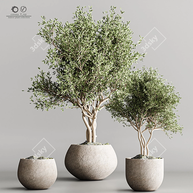 Modern Indoor Plant Stand 3D 3D model image 2