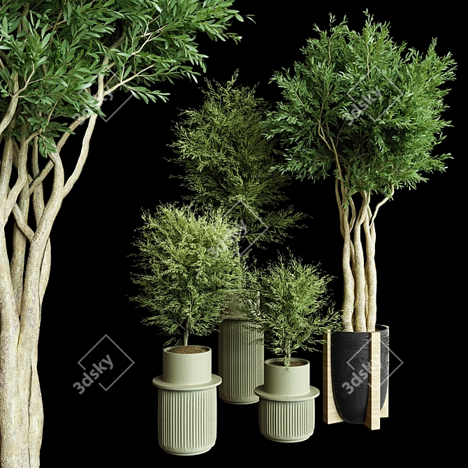 Modern Chic Indoor Plant Decor 3D model image 4