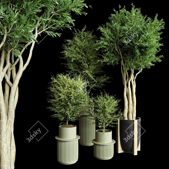 Modern Chic Indoor Plant Decor 3D model image 5