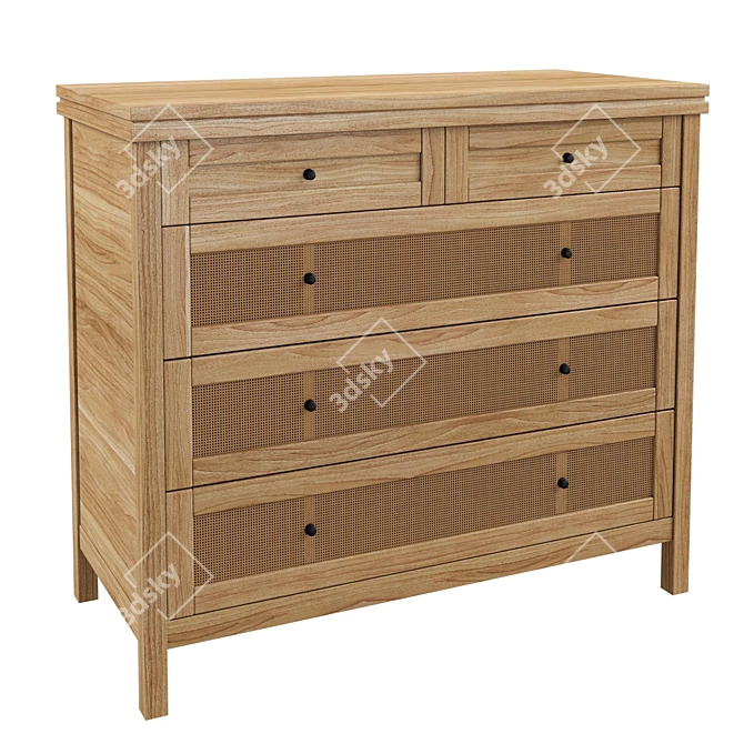 Modern 5-Drawer Gaben Chest 3D model image 1