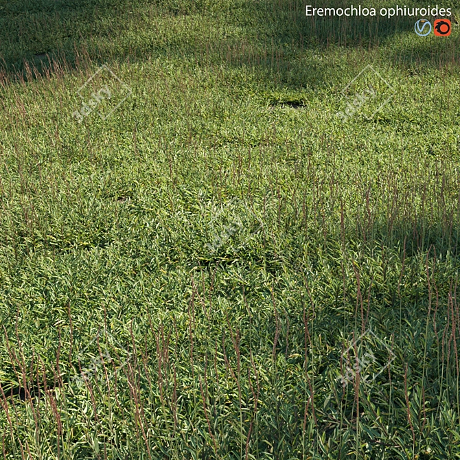 Grass Model Set Bundle 03 3D model image 1