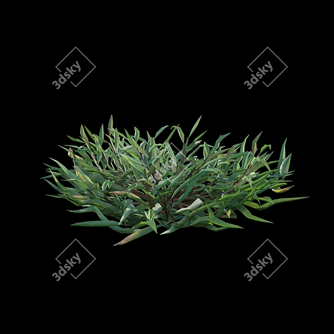 Grass Model Set Bundle 03 3D model image 6