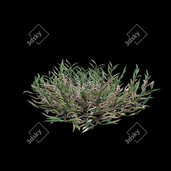 Grass Model Set Bundle 03 3D model image 7