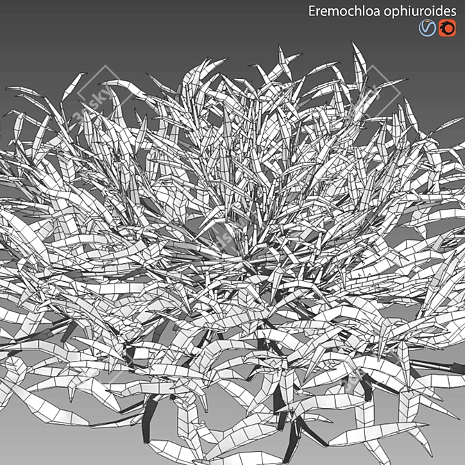 Grass Plant Model Set 3D model image 3