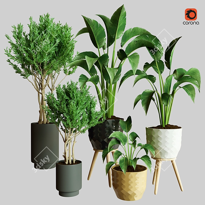 Exquisite Indoor Plant Collection 3D Model 3D model image 1