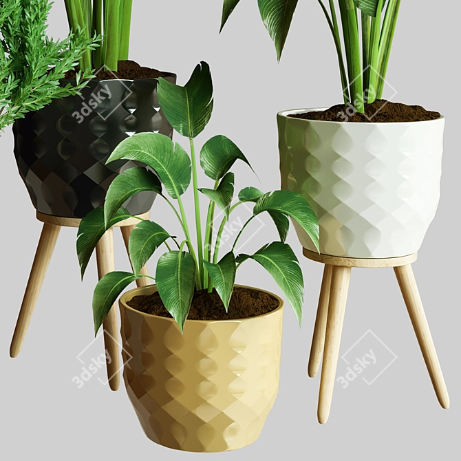 Exquisite Indoor Plant Collection 3D Model 3D model image 2