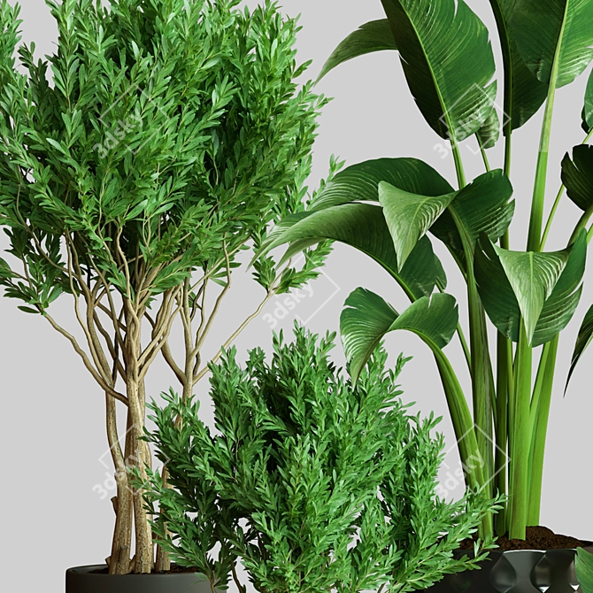 Exquisite Indoor Plant Collection 3D Model 3D model image 3