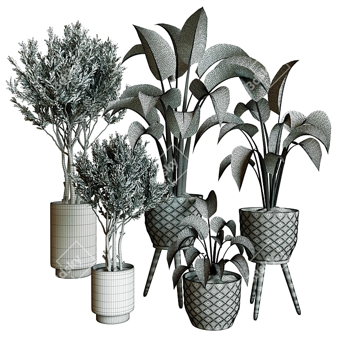 Exquisite Indoor Plant Collection 3D Model 3D model image 4