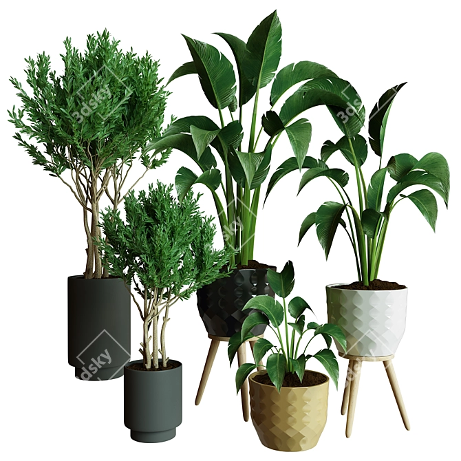 Exquisite Indoor Plant Collection 3D Model 3D model image 5