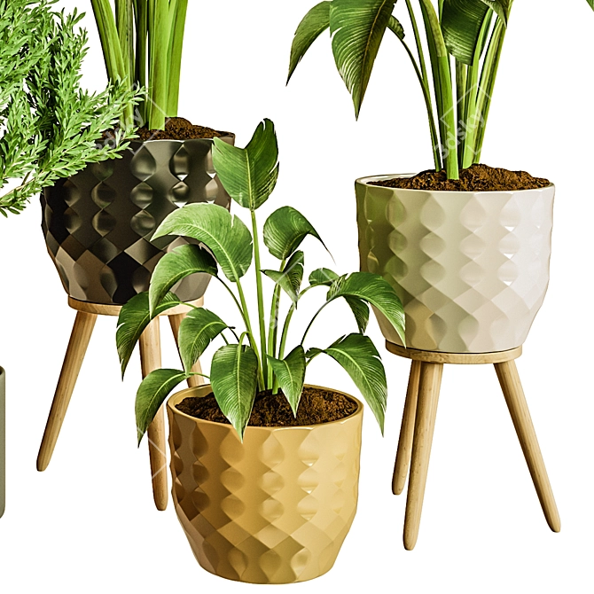 Exquisite Indoor Plant Collection 3D Model 3D model image 7