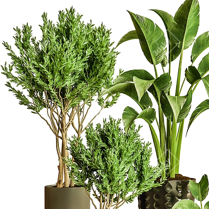 Exquisite Indoor Plant Collection 3D Model 3D model image 8