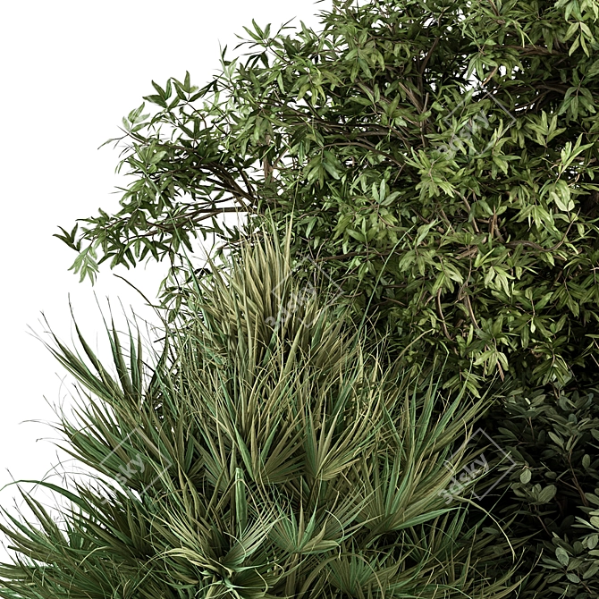 Exotic Bush Mix Set 71 3D model image 3