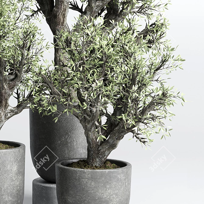 Concrete Old Olive Tree Vase 3D model image 3