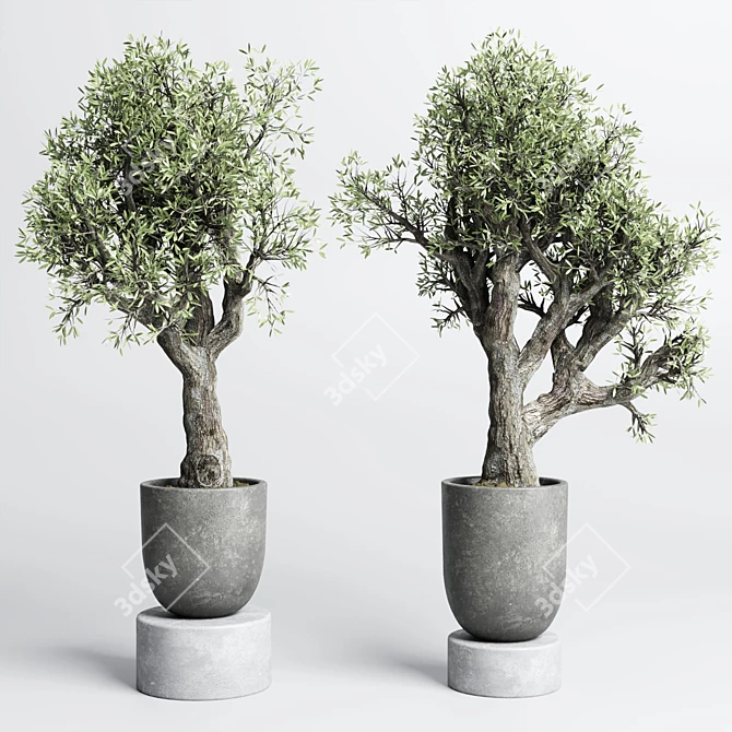 Concrete Old Olive Tree Vase 3D model image 4